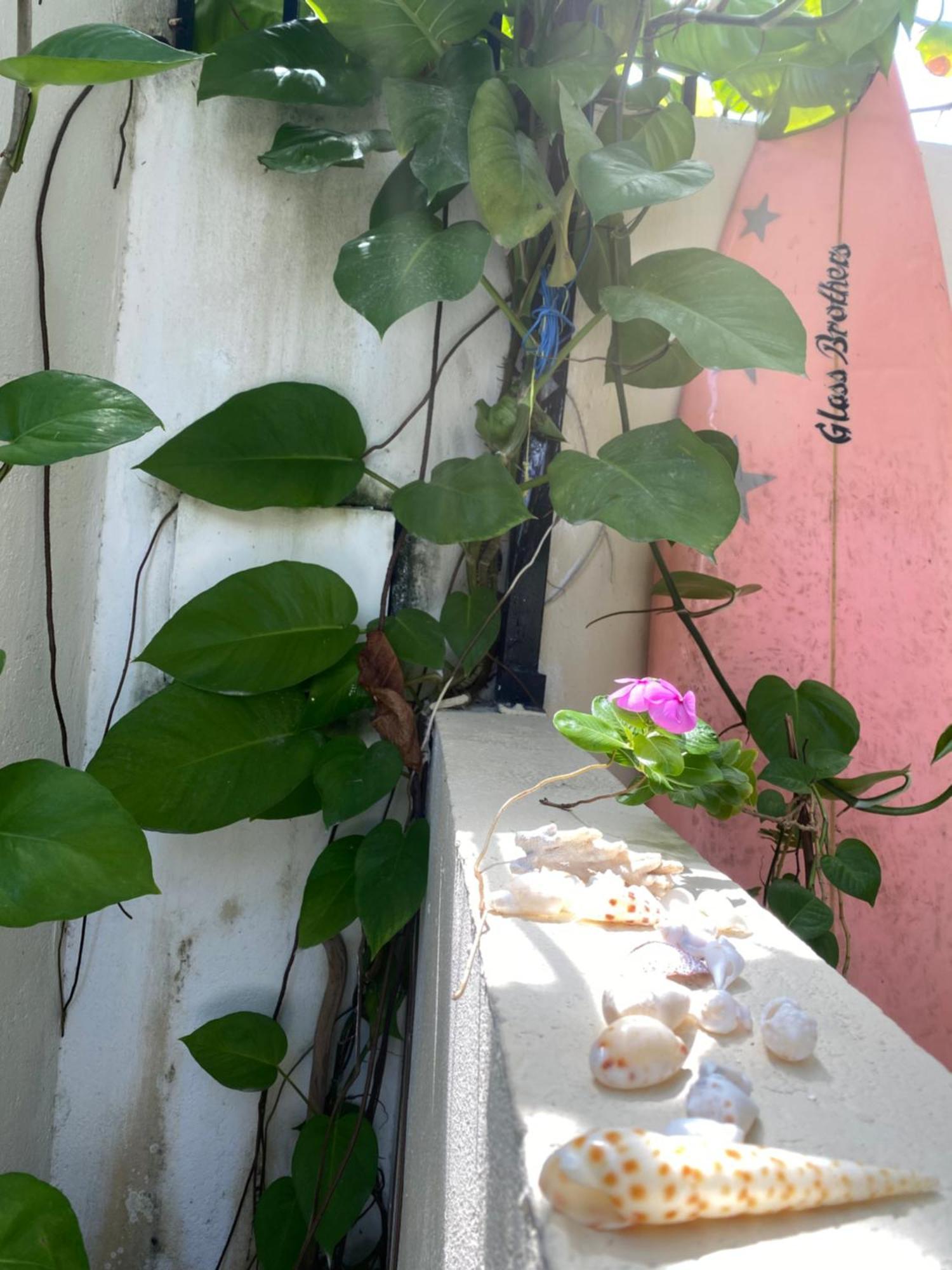 Maavaharu Guest House Himmafushi Eksteriør billede