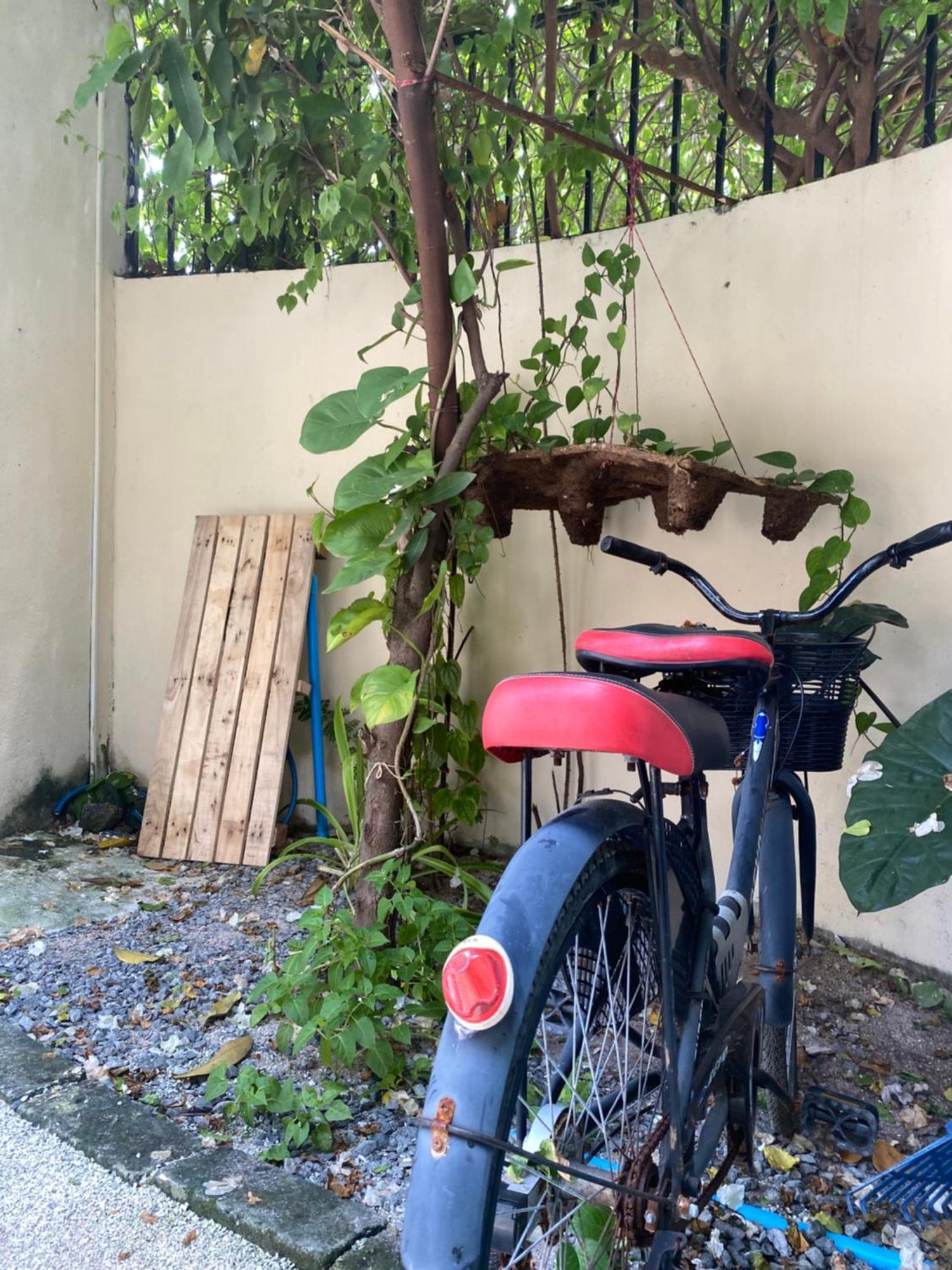 Maavaharu Guest House Himmafushi Eksteriør billede
